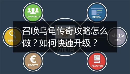 召唤乌龟传奇攻略怎么做？如何快速升级？