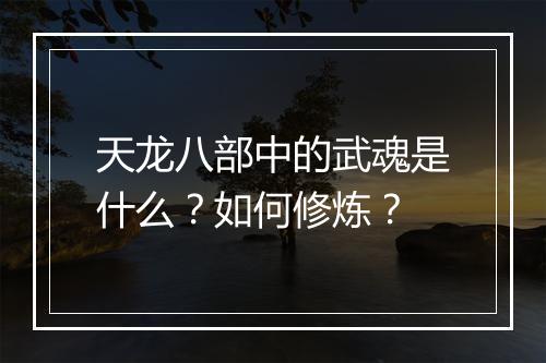 天龙八部中的武魂是什么？如何修炼？