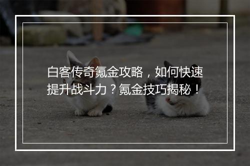 白客传奇氪金攻略，如何快速提升战斗力？氪金技巧揭秘！