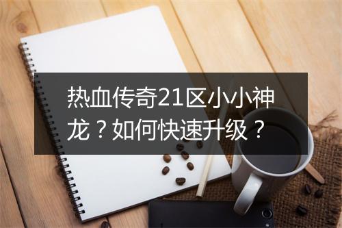 热血传奇21区小小神龙？如何快速升级？
