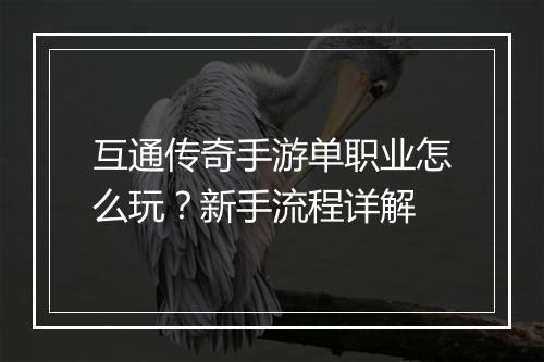 互通传奇手游单职业怎么玩？新手流程详解