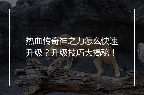 热血传奇神之力怎么快速升级？升级技巧大揭秘！