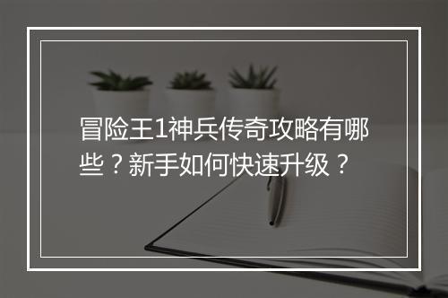 冒险王1神兵传奇攻略有哪些？新手如何快速升级？