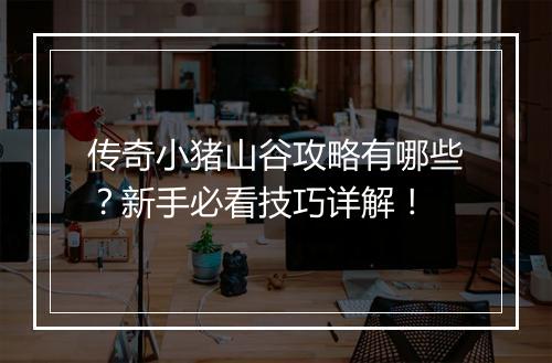 传奇小猪山谷攻略有哪些？新手必看技巧详解！