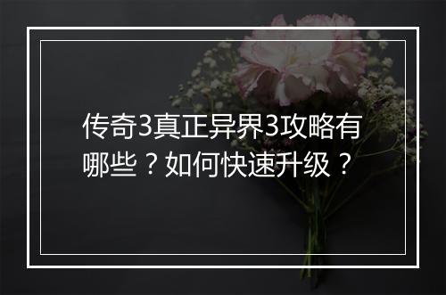传奇3真正异界3攻略有哪些？如何快速升级？
