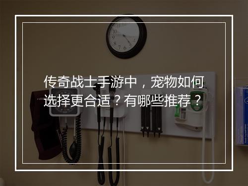 传奇战士手游中，宠物如何选择更合适？有哪些推荐？