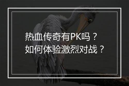 热血传奇有PK吗？如何体验激烈对战？