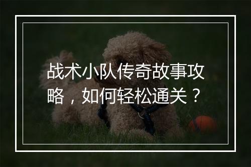 战术小队传奇故事攻略，如何轻松通关？