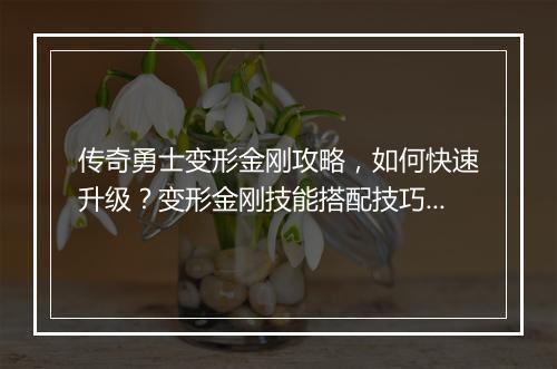 传奇勇士变形金刚攻略，如何快速升级？变形金刚技能搭配技巧揭秘？