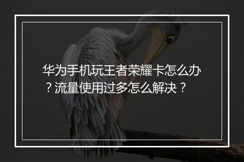 华为手机玩王者荣耀卡怎么办？流量使用过多怎么解决？