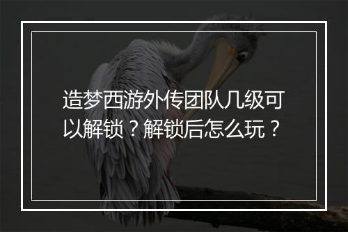 造梦西游外传团队几级可以解锁？解锁后怎么玩？