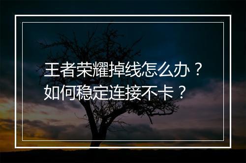 王者荣耀掉线怎么办？如何稳定连接不卡？