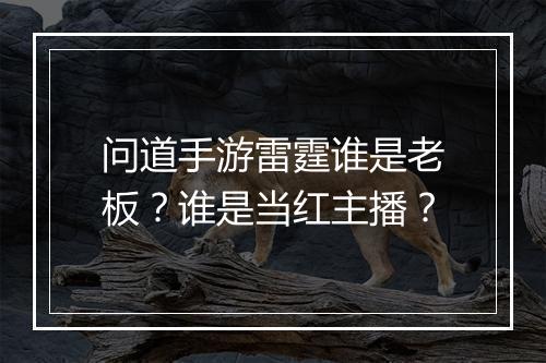 问道手游雷霆谁是老板？谁是当红主播？
