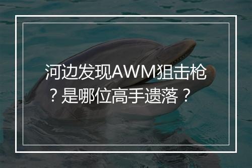 河边发现AWM狙击枪？是哪位高手遗落？