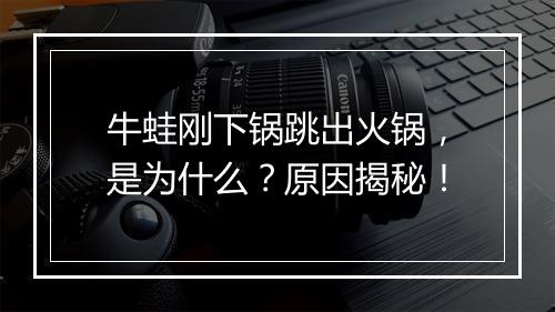 牛蛙刚下锅跳出火锅，是为什么？原因揭秘！