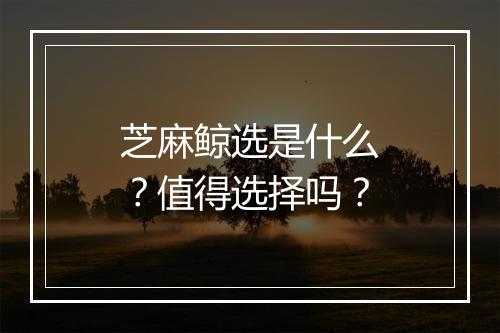 芝麻鲸选是什么？值得选择吗？