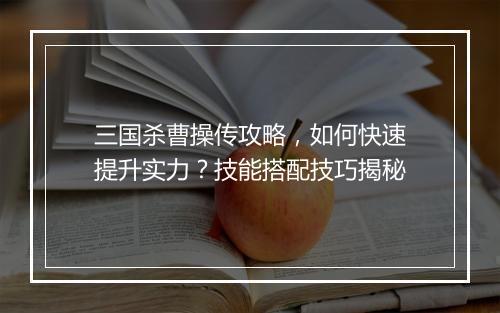 三国杀曹操传攻略，如何快速提升实力？技能搭配技巧揭秘