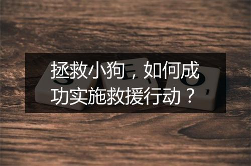 拯救小狗，如何成功实施救援行动？