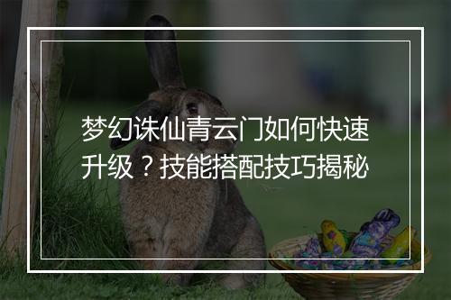 梦幻诛仙青云门如何快速升级？技能搭配技巧揭秘