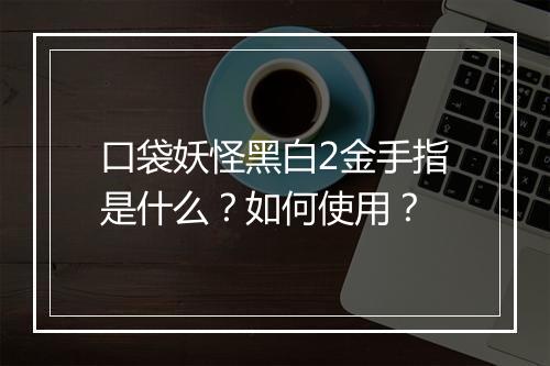 口袋妖怪黑白2金手指是什么？如何使用？