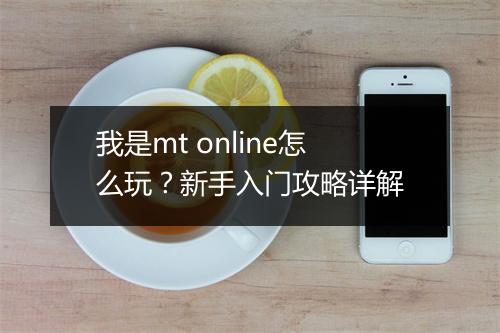 我是mt online怎么玩？新手入门攻略详解