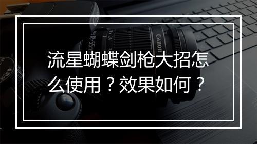 流星蝴蝶剑枪大招怎么使用？效果如何？