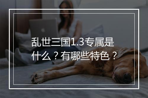 乱世三国1.3专属是什么？有哪些特色？