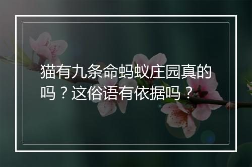 猫有九条命蚂蚁庄园真的吗？这俗语有依据吗？