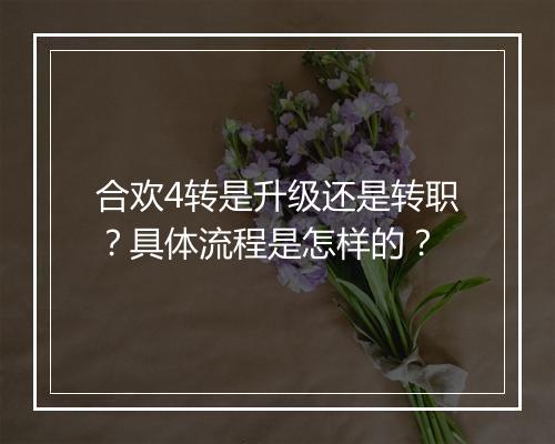 合欢4转是升级还是转职？具体流程是怎样的？