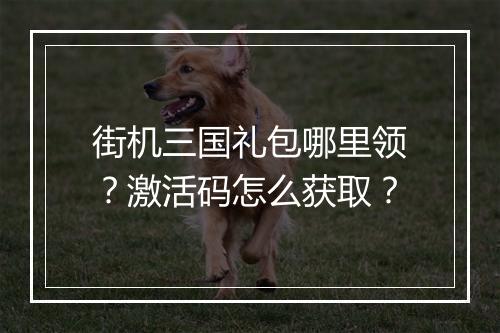 街机三国礼包哪里领？激活码怎么获取？