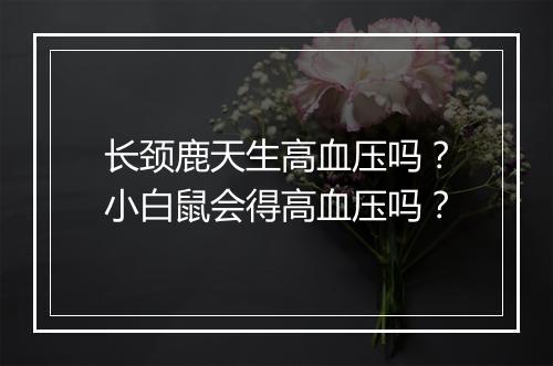 长颈鹿天生高血压吗？小白鼠会得高血压吗？