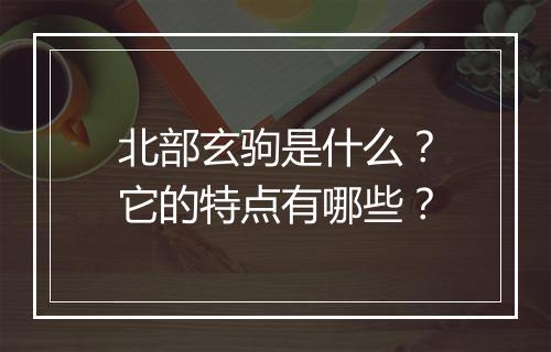 北部玄驹是什么？它的特点有哪些？