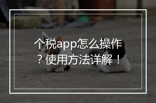 个税app怎么操作？使用方法详解！