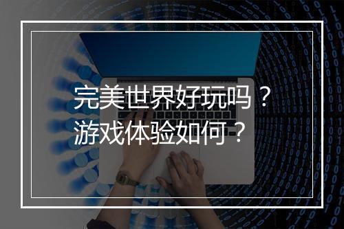 完美世界好玩吗？游戏体验如何？