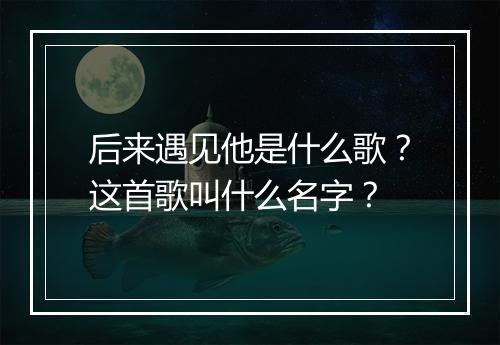 后来遇见他是什么歌？这首歌叫什么名字？