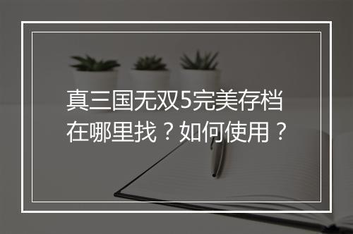 真三国无双5完美存档在哪里找？如何使用？