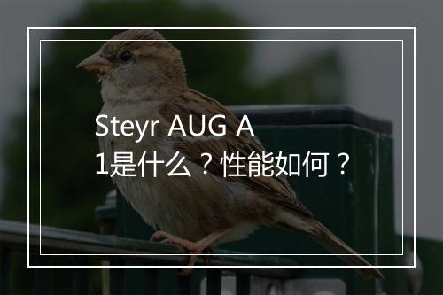 Steyr AUG A1是什么？性能如何？