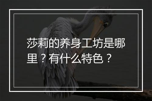 莎莉的养身工坊是哪里？有什么特色？