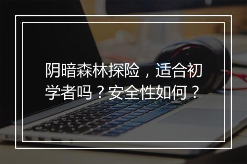 阴暗森林探险，适合初学者吗？安全性如何？
