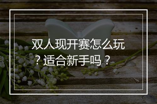 双人现开赛怎么玩？适合新手吗？