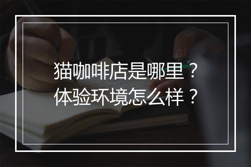 猫咖啡店是哪里？体验环境怎么样？