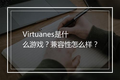 Virtuanes是什么游戏？兼容性怎么样？