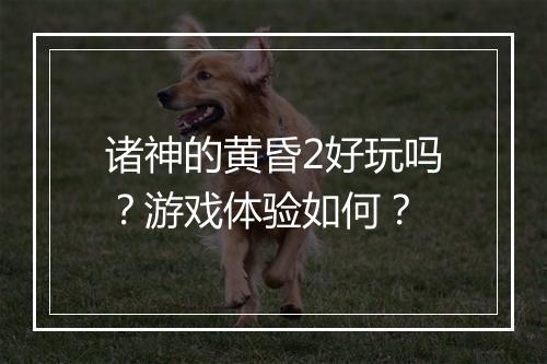 诸神的黄昏2好玩吗？游戏体验如何？