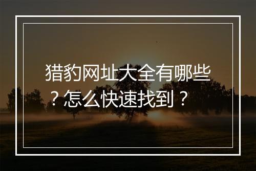 猎豹网址大全有哪些？怎么快速找到？