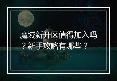 魔域新开区值得加入吗？新手攻略有哪些？