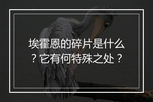 埃霍恩的碎片是什么？它有何特殊之处？