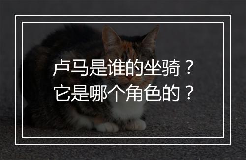卢马是谁的坐骑？它是哪个角色的？