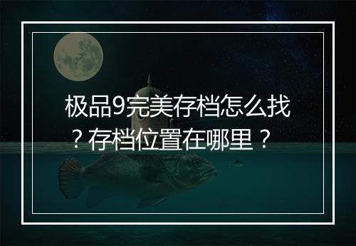 极品9完美存档怎么找？存档位置在哪里？
