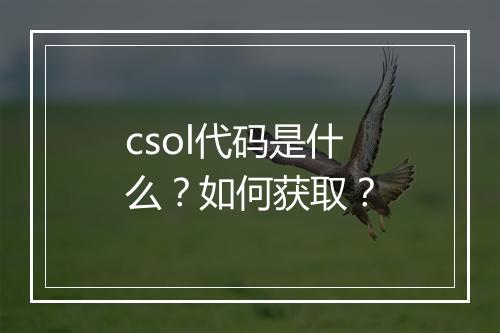 csol代码是什么？如何获取？