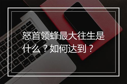 怒首领蜂最大往生是什么？如何达到？